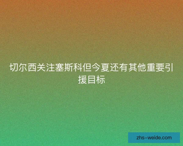 切尔西关注塞斯科但今夏还有其他重要引援目标